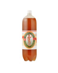 Kombucha zelená 2 l   STEVIKOM